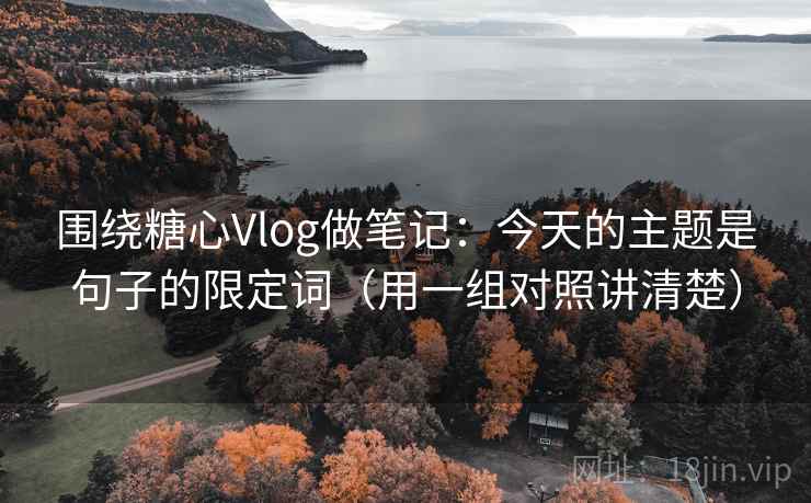 围绕糖心Vlog做笔记：今天的主题是句子的限定词（用一组对照讲清楚）